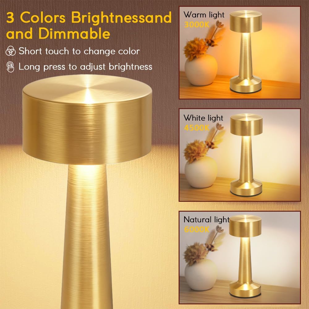 61ZyLvR65kL._AC_SL1000_