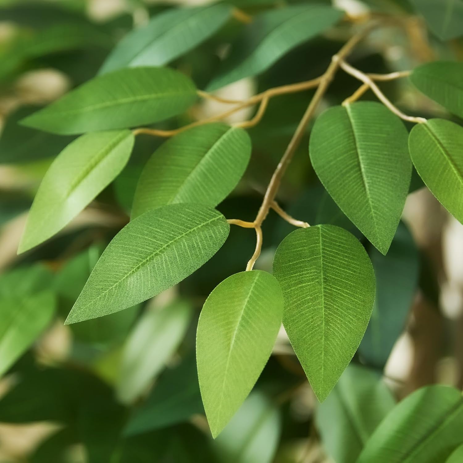 715GEpmuMML._AC_SL1500_